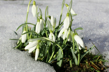 Фотография к новости: Весна опаздывает: синоптики рассказали о погоде в Казахстане