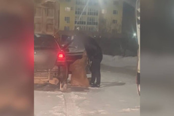 Фотография к новости: Водитель устроил драку с женой на дороге в Астане