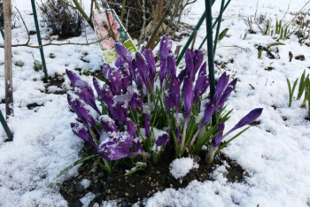 Фотография к новости: До +20 градусов потеплеет в праздничные дни в Казахстане
