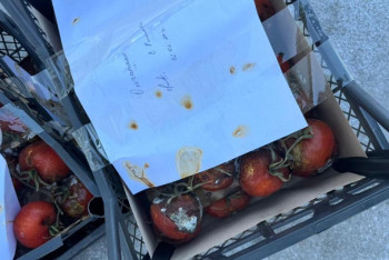 Фотография к новости: Тонну заражённых помидоров уничтожили в Уральске