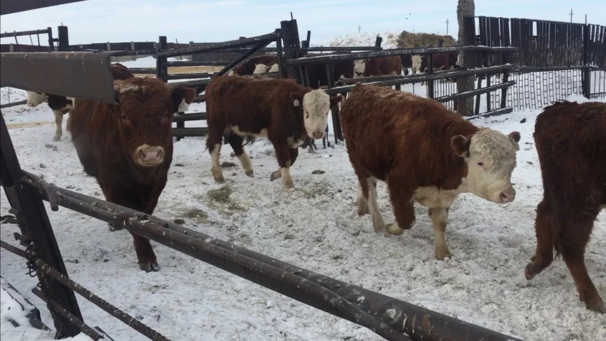  Из открытых источников