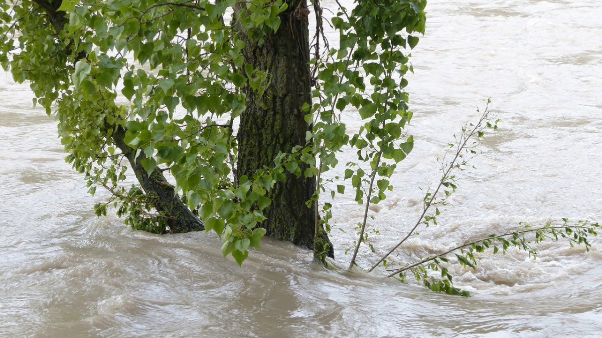  pixabay / иллюстративное фото