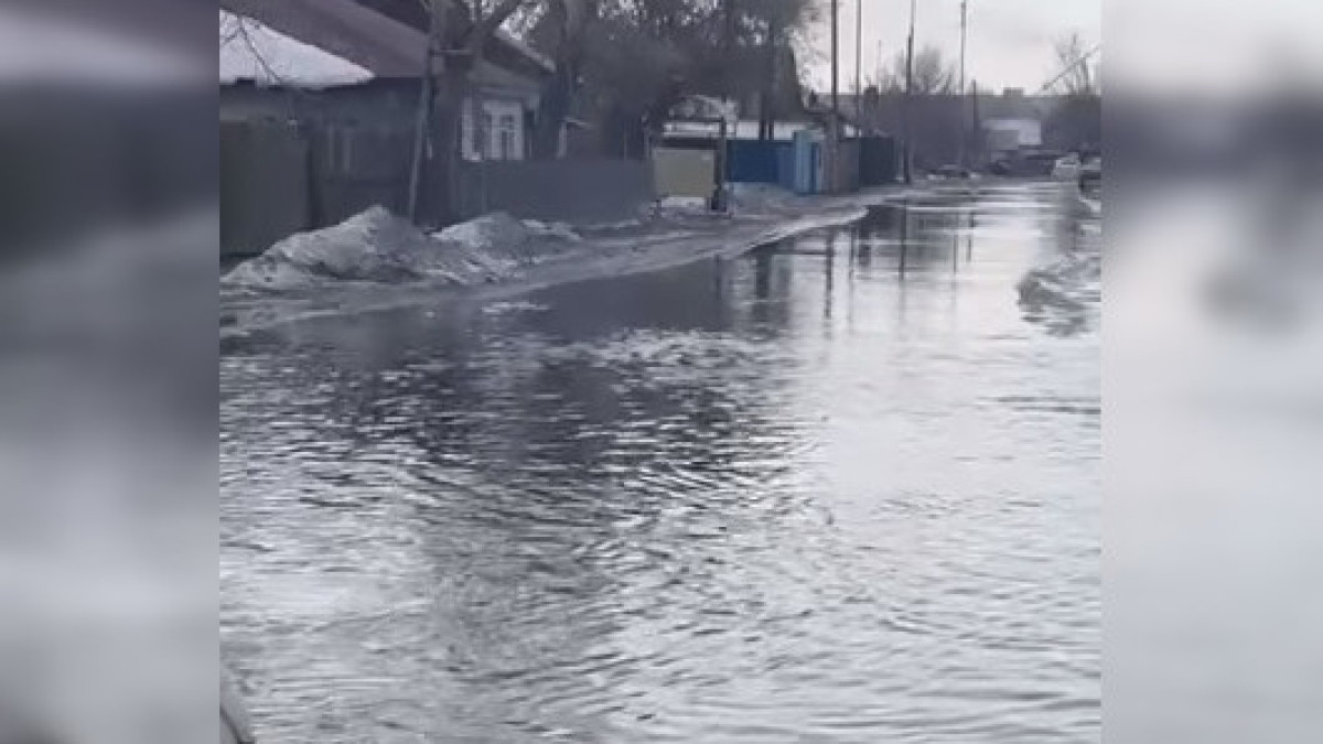  скриншот с видео