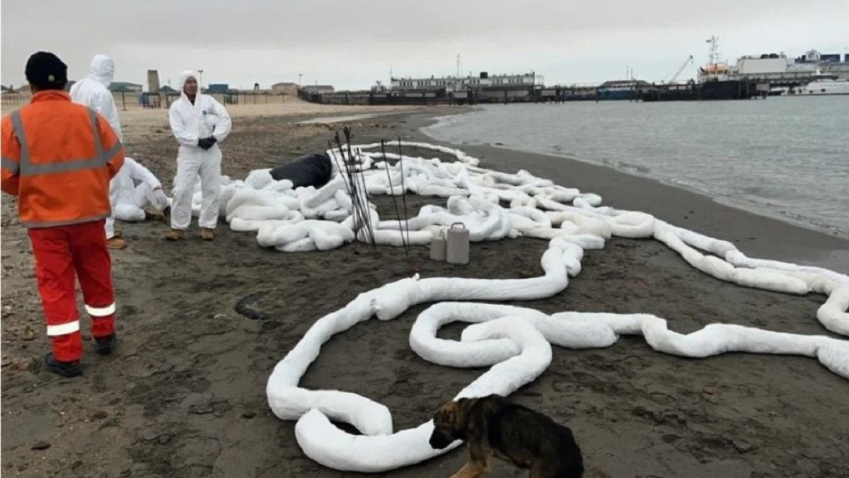  Фото со страницы департамента экологии региона в Instagram