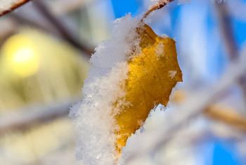 Фотография к новости: В Казахстане побит новый температурный рекорд в феврале