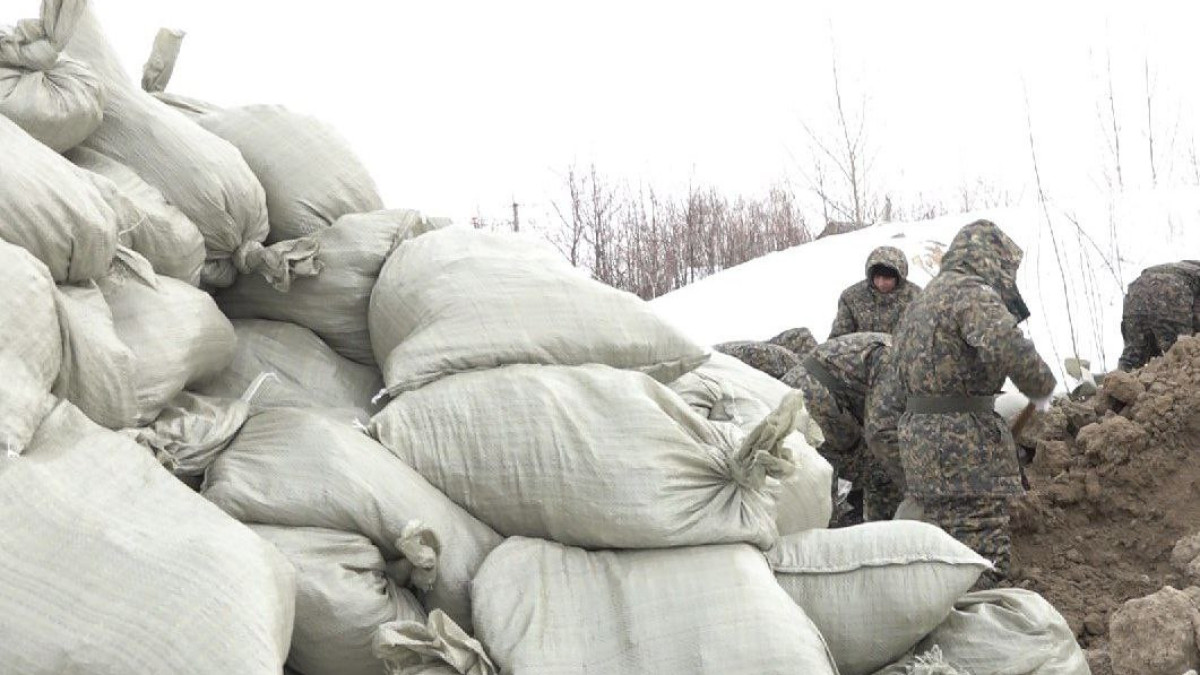  Наталья Волкова.