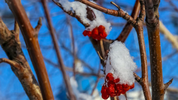 Фотография к новости: Меньше гулять в субботу рекомендуют жителям Алматы и Актобе