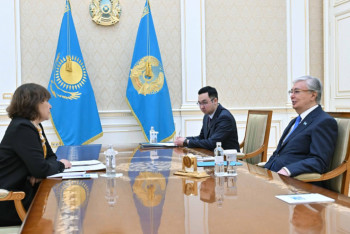 Фотография к новости: Токаев выслушал руководителя Центра социальных и политических исследований "Стратегия"