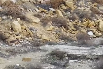 Фотография к новости: Горы мусора и антисанитария: блогер из Актау показал обратную сторону массовых гуляний