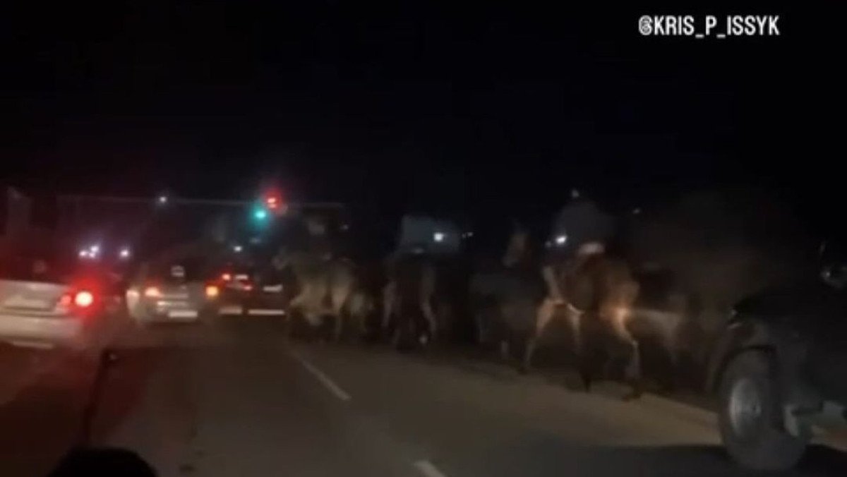  instagram.com/baurzhan__alenov