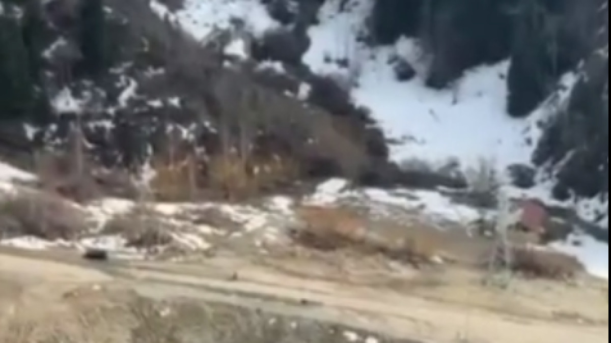  скриншот с видео