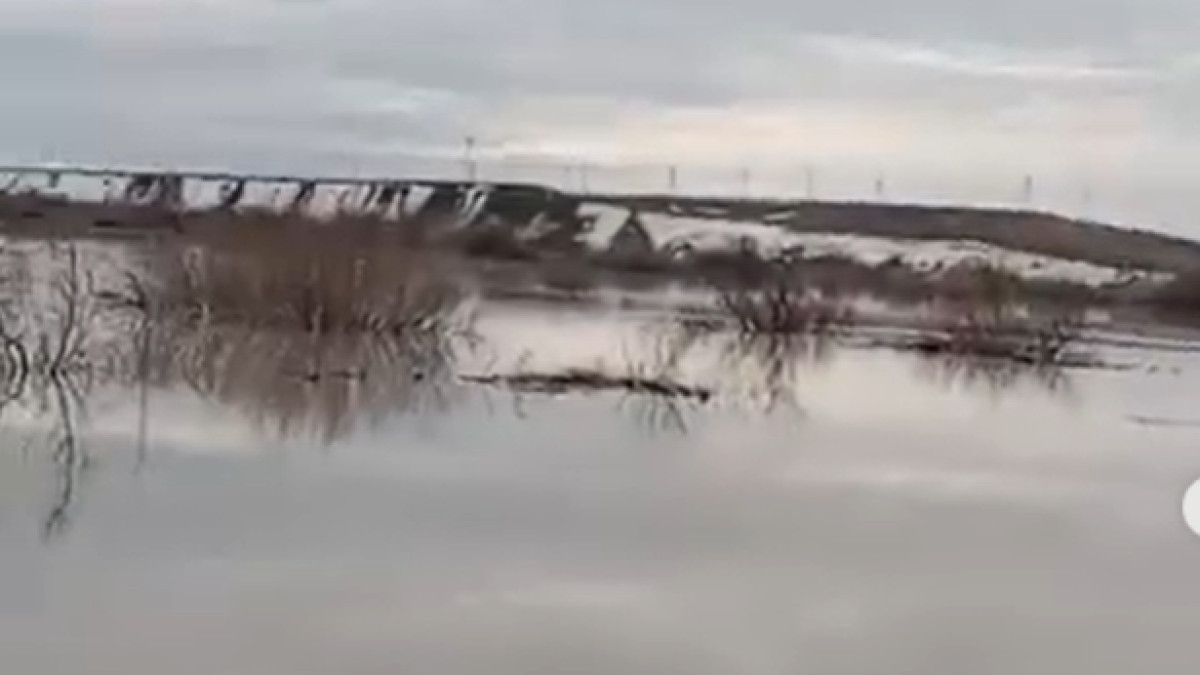  скриншот с видео