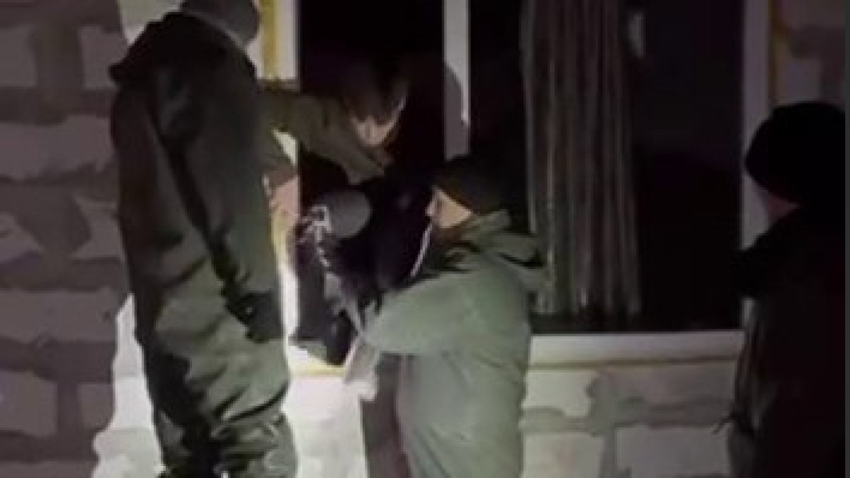  скриншот видео