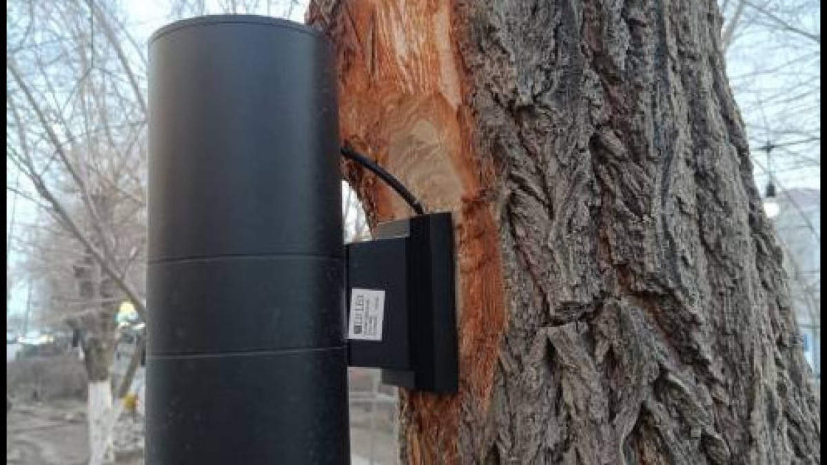  news_agency_balkhash