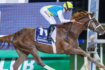 Фотография к новости: Конь Кабирхан из Казахстана выступил в гонке за три миллиарда в Дубае