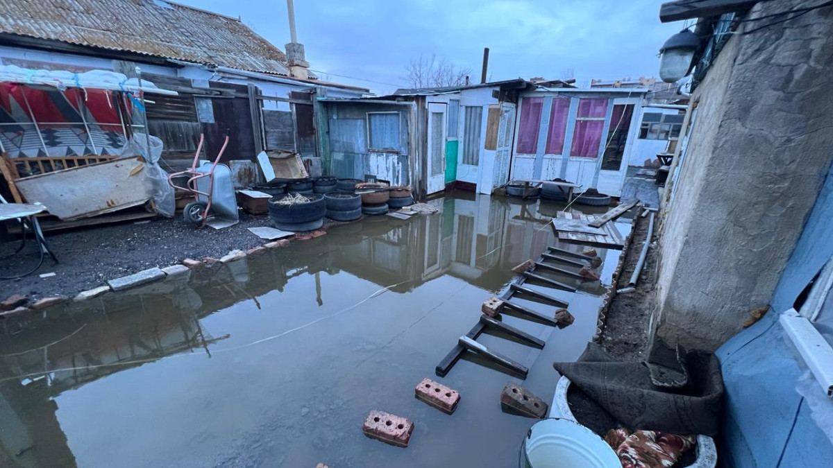  Асель Турар