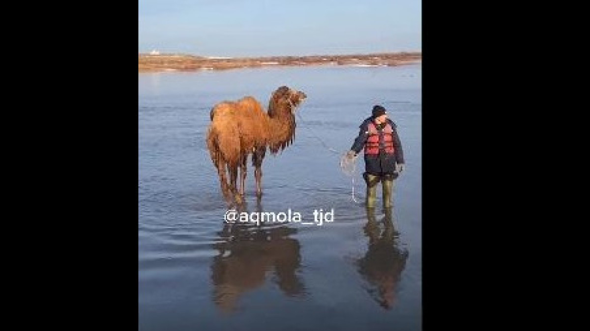  стоп-кадр из видео