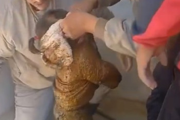 Фотография к новости: Двухлетний ребёнок упал в уличный туалет в Мангистау