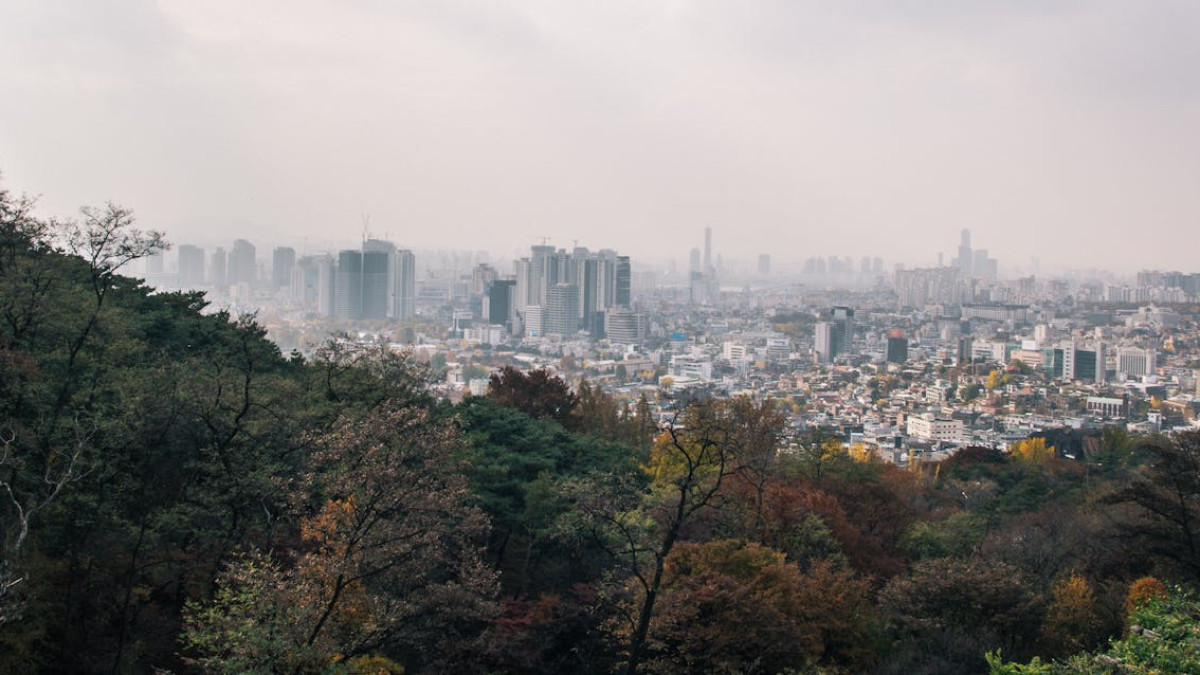  иллюстративное / pexels.com