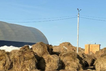 Фотография к новости: Скот из подтопленных районов Костанайской области обеспечат кормом