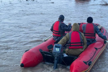 Фотография к новости: Спасатели продолжают поиски утонувших мужчин в реке Борлы