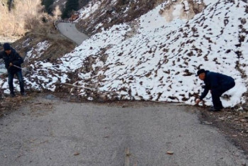 Фотография к новости: Лавина сошла на дорогу в Алматинской области