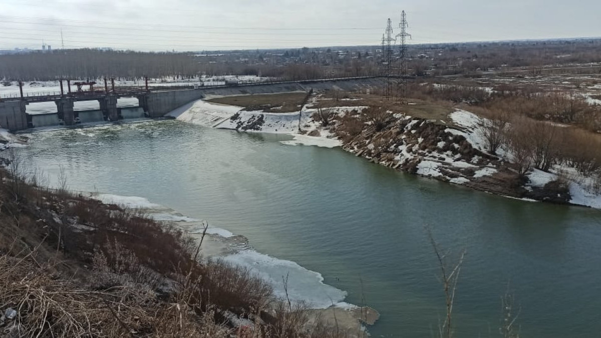  Наталья Волкова.