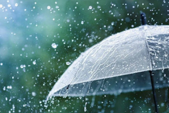 Фотография к новости: Сильные дожди прогнозируют синоптики сразу в нескольких областях Казахстана