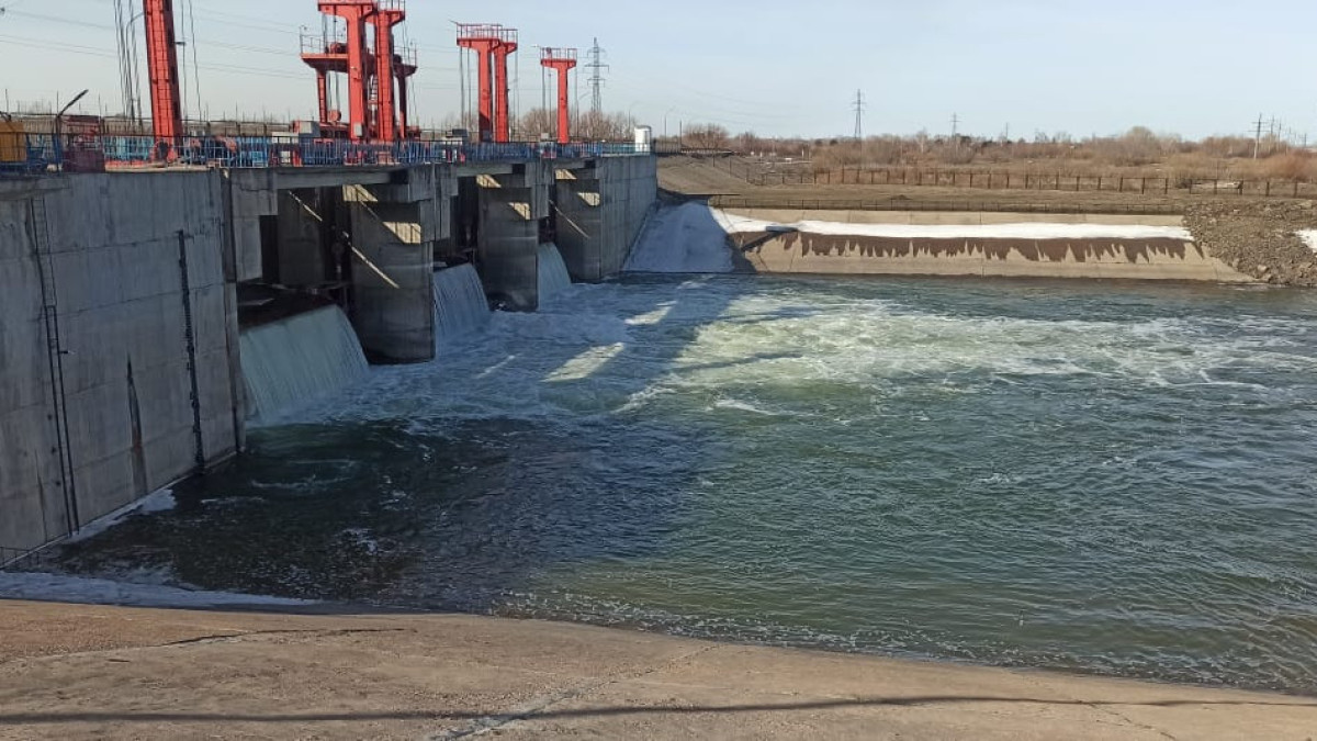  Наталья Волкова