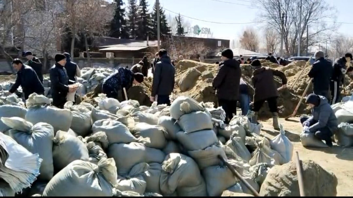  Айжан Амангельдыкызы