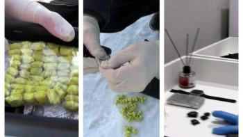 Фотография к новости: МВД пресекло деятельность преступных группировок в трёх городах Казахстана