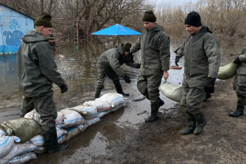 Фотография к новости: Уровень воды в реке Тобол падает