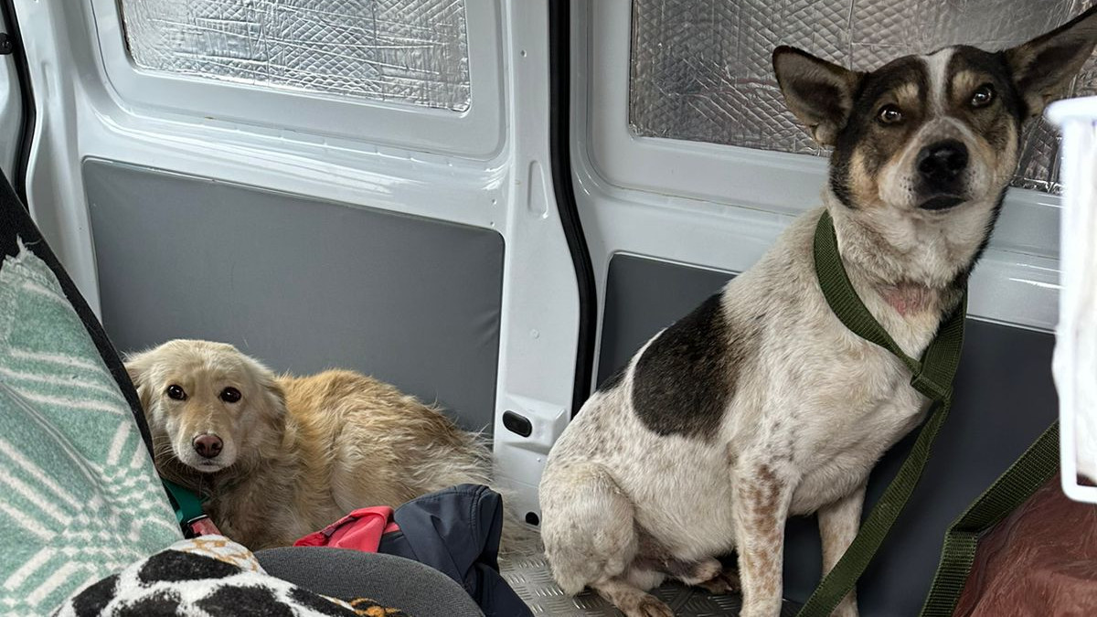  пресс-служба Центра поддержки гражданских инициатив