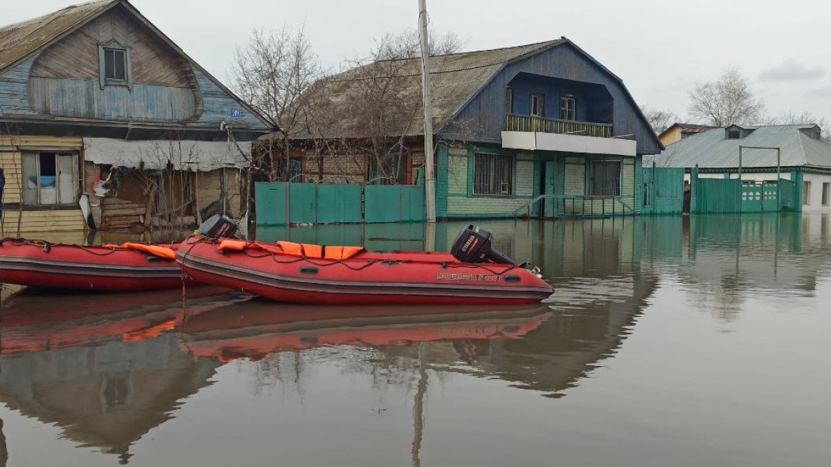  Наталья Волкова