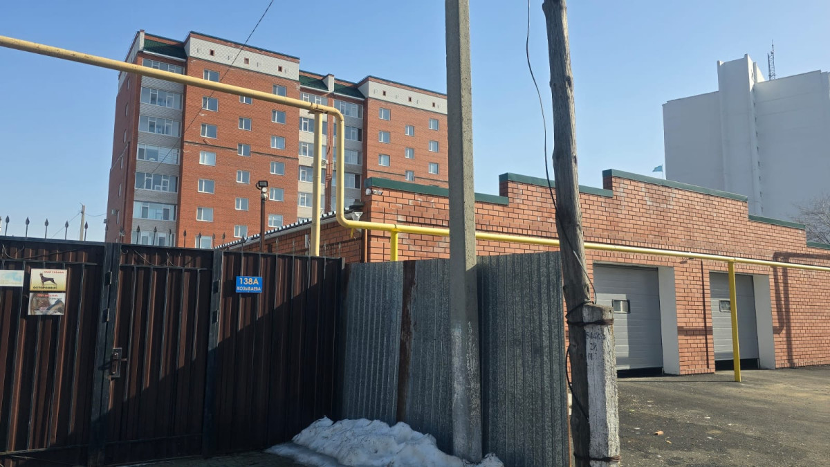  Айжан Амангельдыкызы.