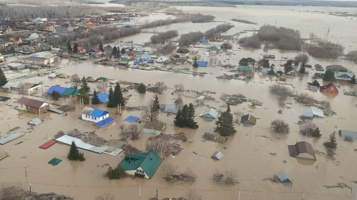  Наталья Волкова.