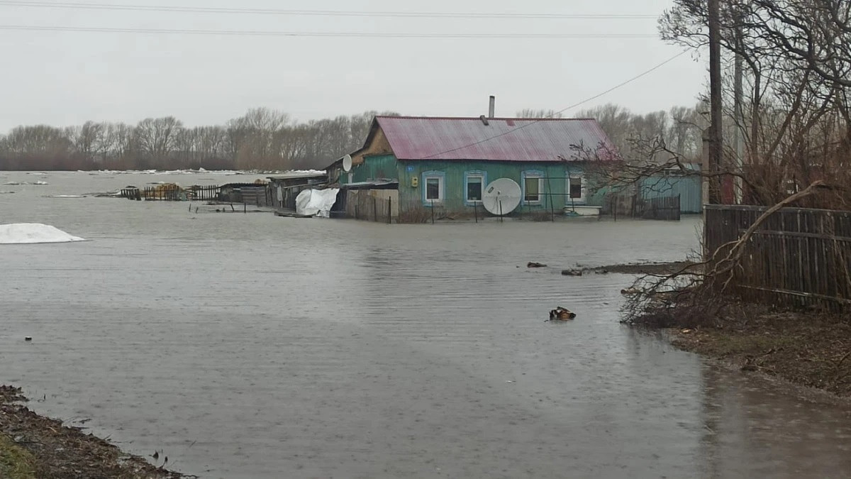  baigenews.kz/Наталья Волкова