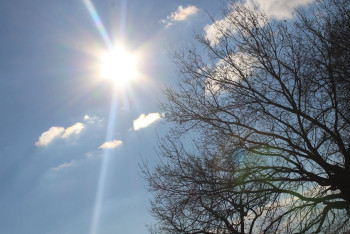 Фотография к новости: Погода без осадков ожидается Казахстане