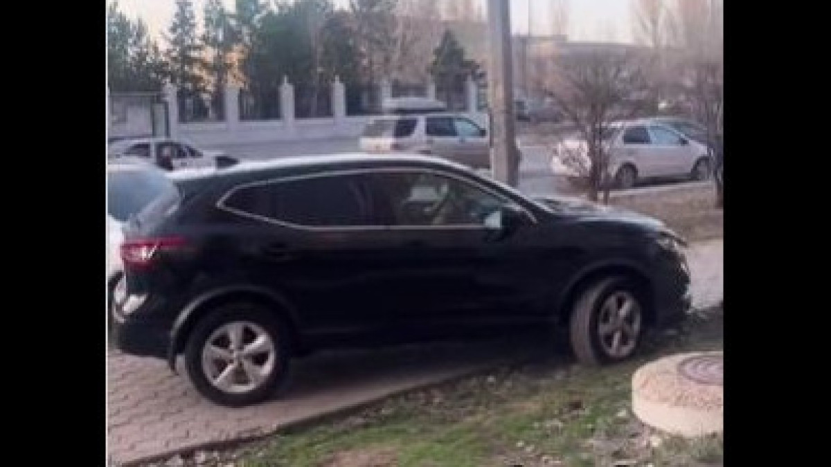  стопкадр из видео/astana_brothers