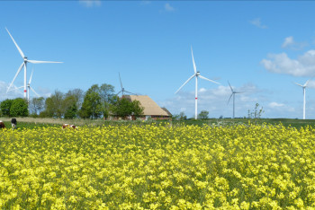 Фотография к новости: Казахстанцы смогут продавать излишки электроэнергии от собственных ВИЭ