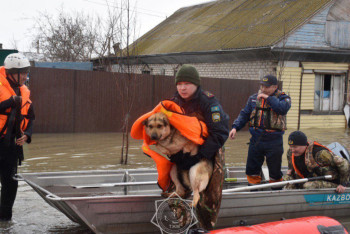 Фотография к новости: Паводки в Казахстане: свыше 25 тысяч человек вернулись в свои дома