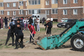 Фотография к новости: Более 500 саженцев высадили в Павлодарской области