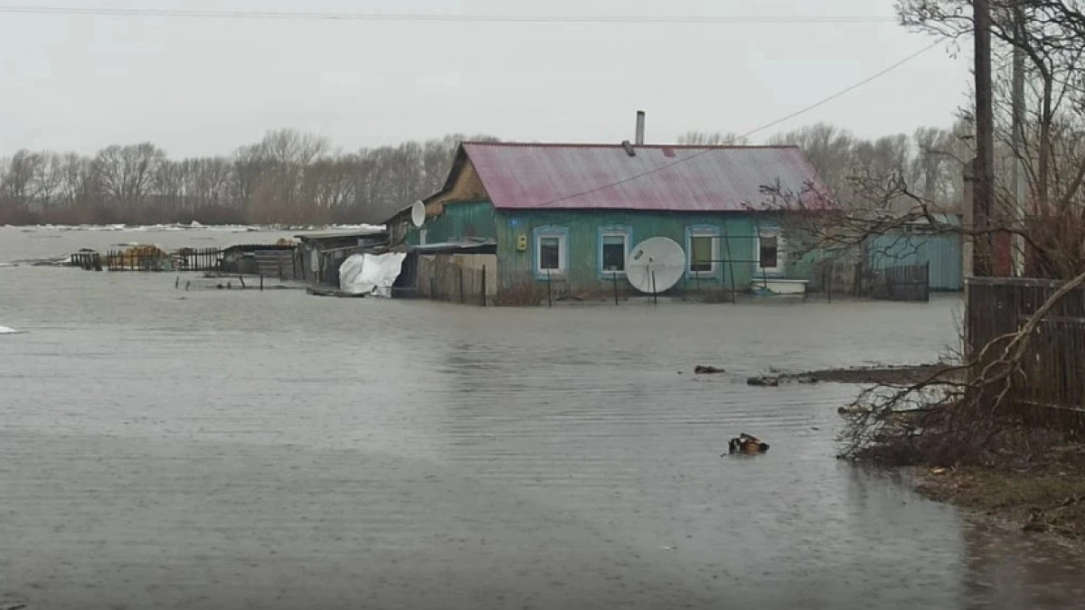  baigenews.kz/Наталья Волкова