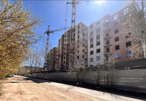 Фотография к новости: В Караганде застройщик, вырубивший десятки деревьев пытается уйти от наказания