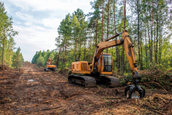 Фотография к новости: За 20 лет площадь лесов в мире уменьшилась почти на миллион квадратных километров