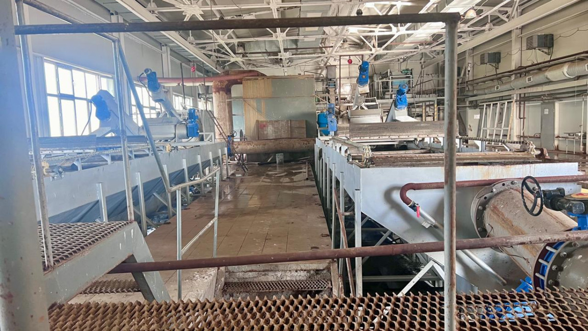  Асель Турар