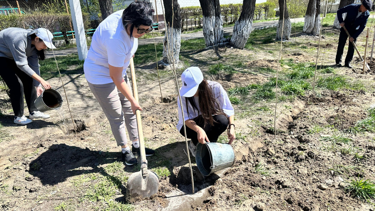  Акимат области Абай