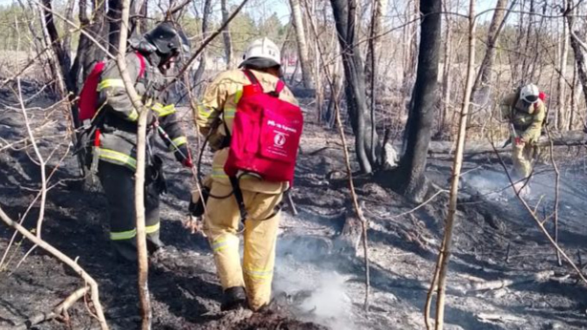  ДЧС области Абай