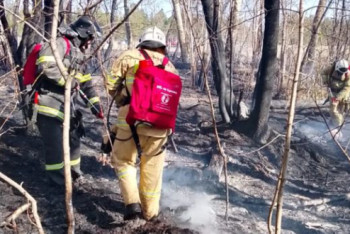 Фотография к новости: В области Абай потушили природный пожар