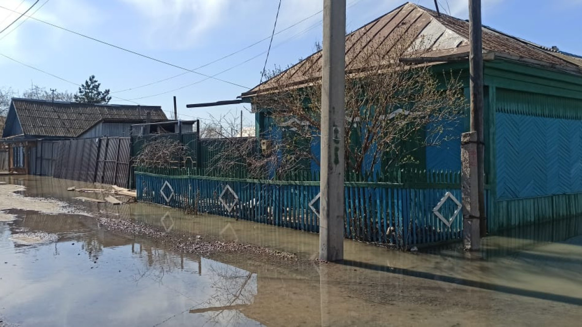  Наталья Волкова.